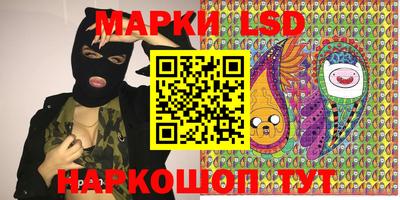 прущие грибы Гатчина