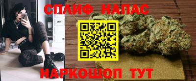 прущие грибы Гатчина