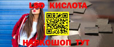 прущие грибы Гатчина