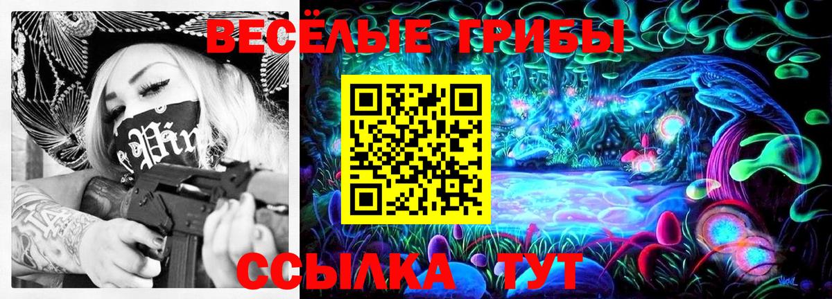 Галлюциногенные грибы мухоморы Губкинский