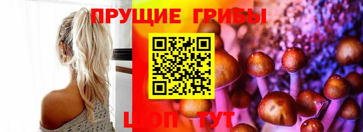 Псилоцибиновые грибы GOLDEN TEACHER  Вход с VPN  Галлюциногенные грибы Psilocybine cubensis  Губкинский 